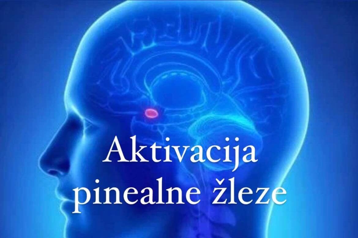 ste vajeni natrpanega urnika dela in življenja